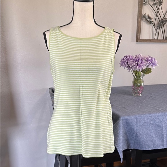 NWOT Women’s Talbots Size L Green/ White Striped Tank Top - Picture 1 of 5